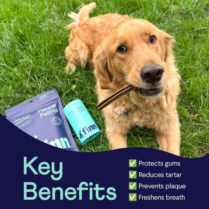 VIVENA Plaque Patrol Dental Powder For Dogs